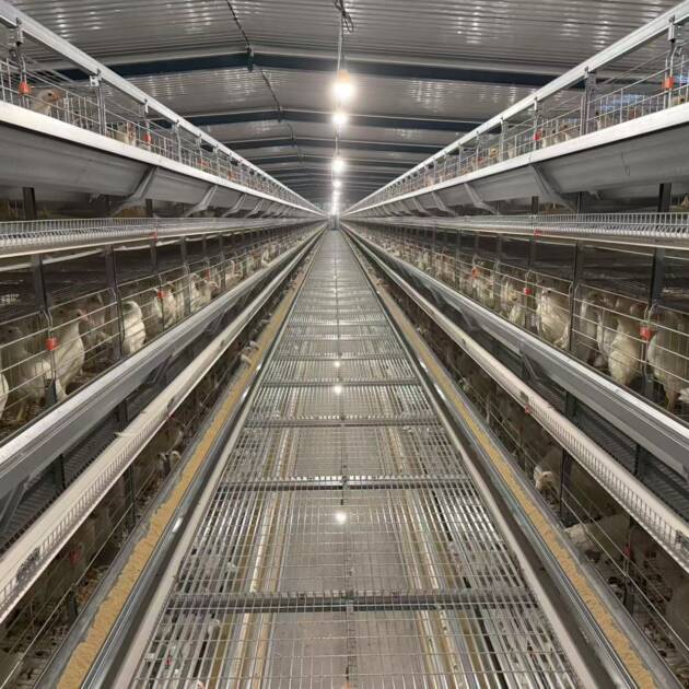 Automatic A-type 3-layer 4-door 96/160 poultry laying hen feeding laying hen cage system