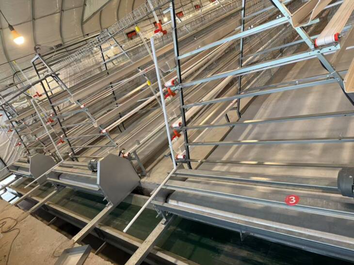 Automatic A-type 3-layer 4-door 96/160 poultry laying hen feeding laying hen cage system - 图片 3